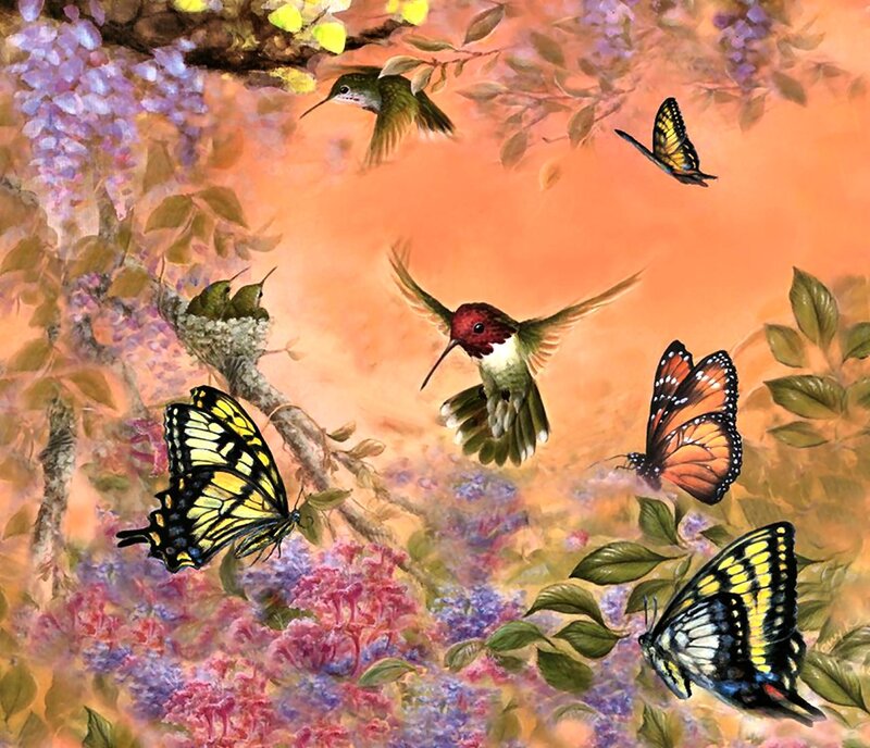 Hummingbirds and Butterflies — Orange