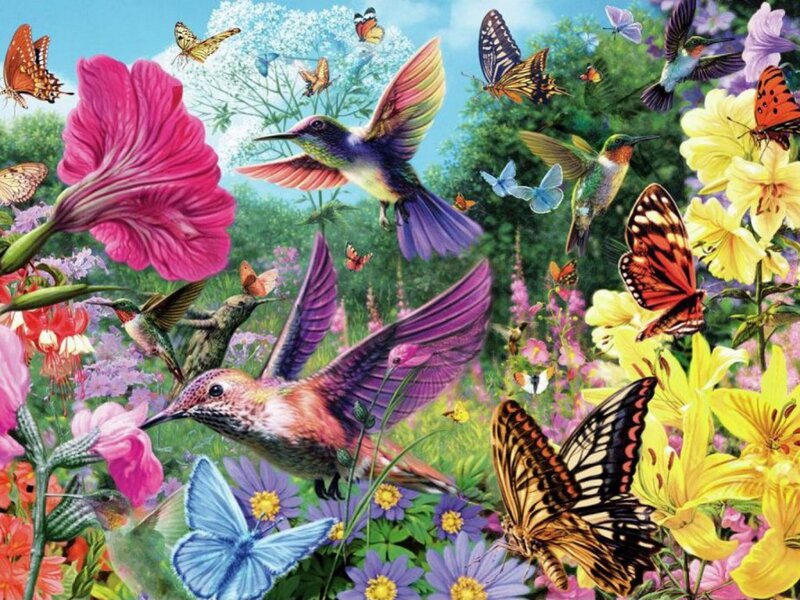 Hummingbirds and Butterflies — Pink, Vibrant, Summer