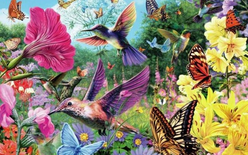 Hummingbirds and Butterflies — Pink, Vibrant