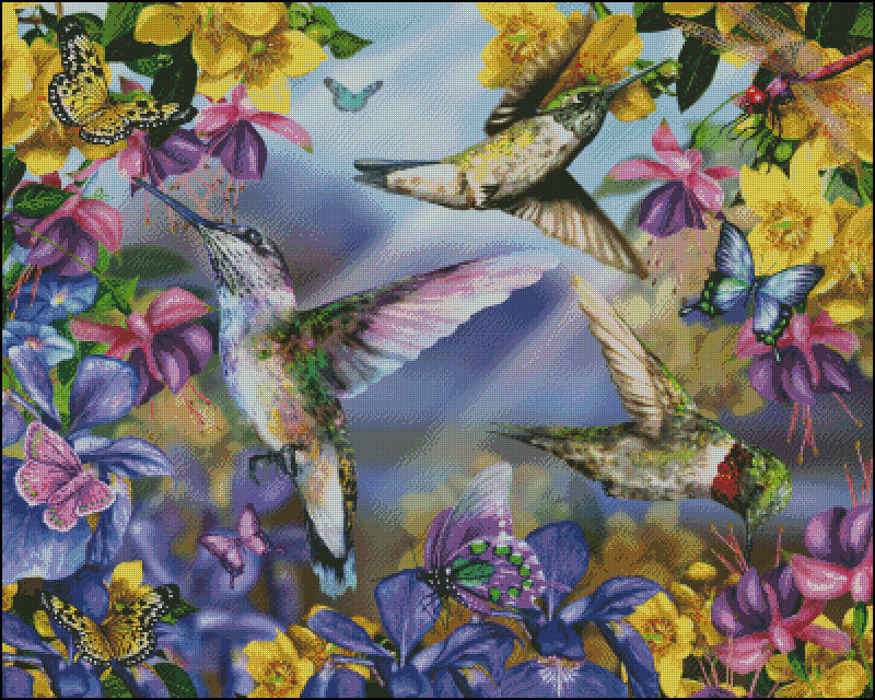 Hummingbirds and Butterflies