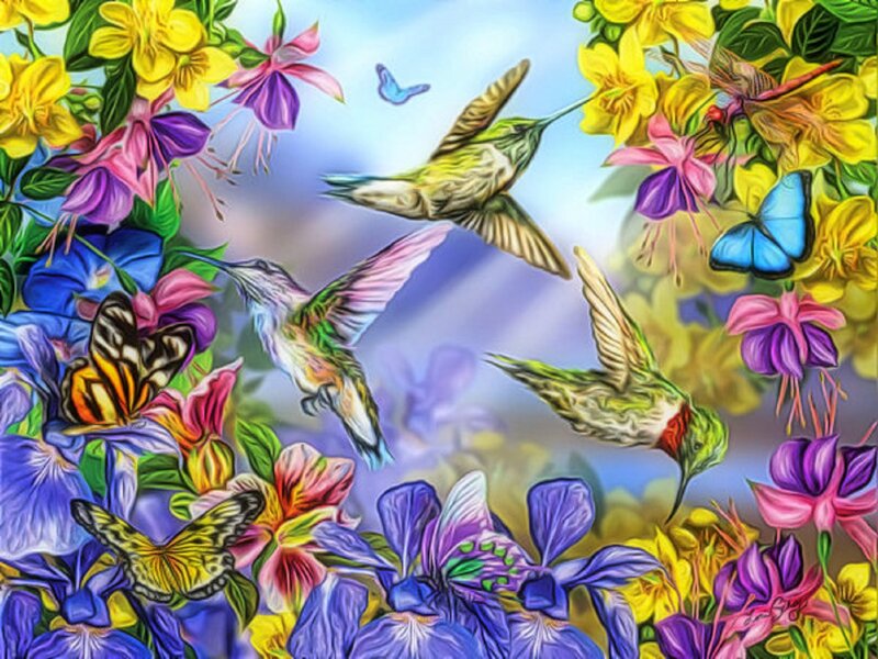 Hummingbirds and Butterflies — Yellow