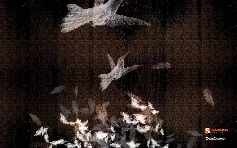 Hummingbirds and Feathers