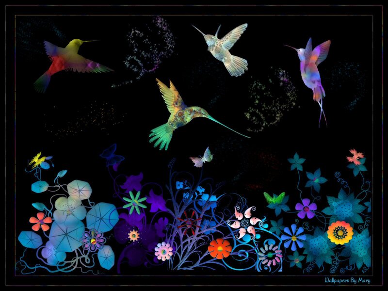 Hummingbirds and Flowers — Black