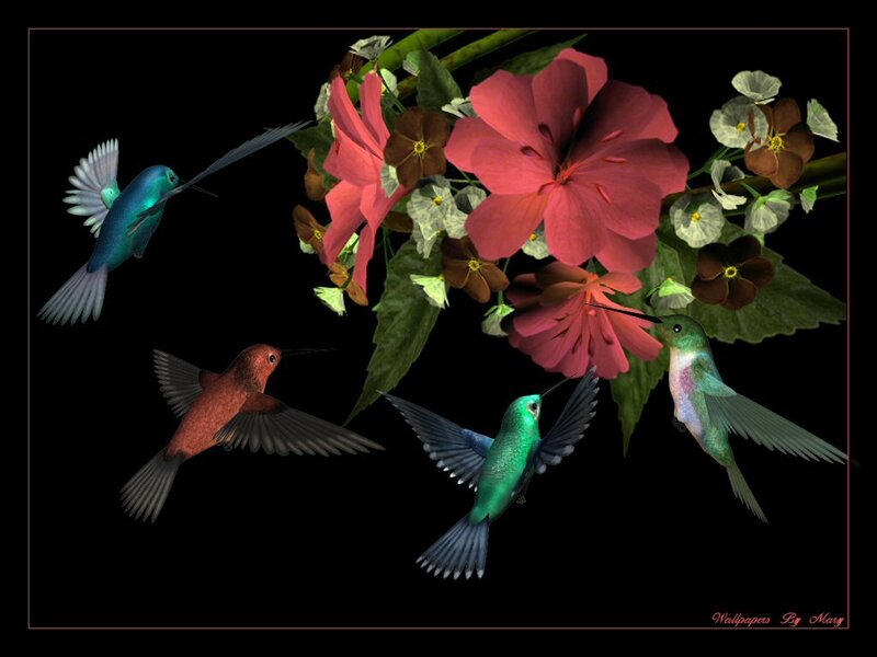 Hummingbirds and Flowers — Green