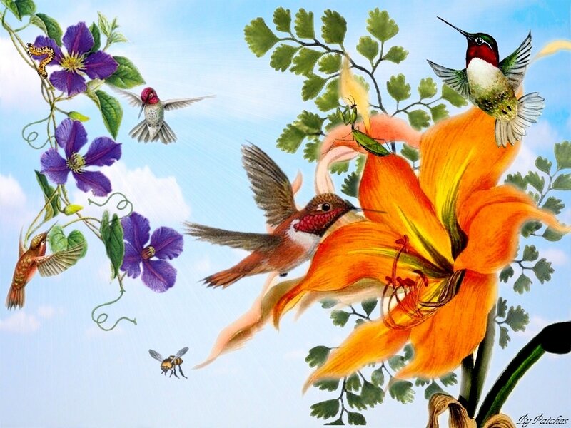 Hummingbirds and flowers in flight