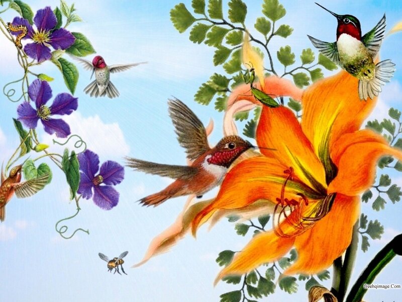 Hummingbirds and Flowers — Orange