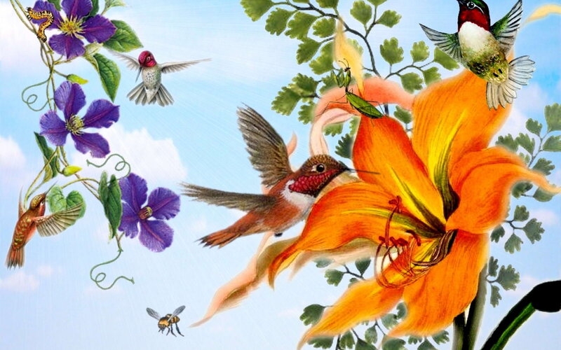 Hummingbirds and Flowers — Orange, Vibrant