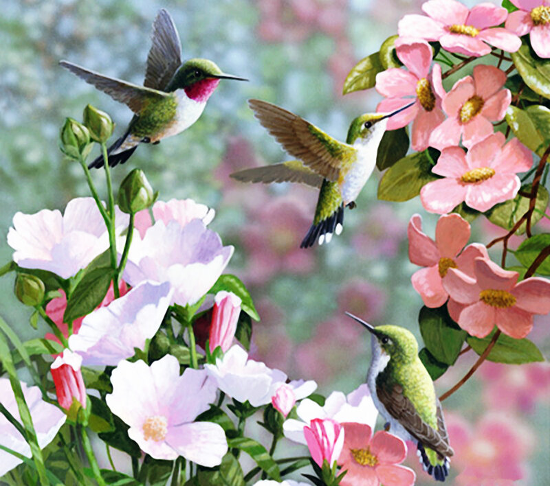 Hummingbirds and Flowers — Pink, Serene, Spring