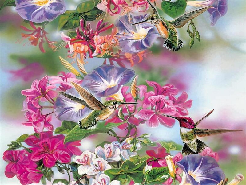 Hummingbirds and Flowers — Pink