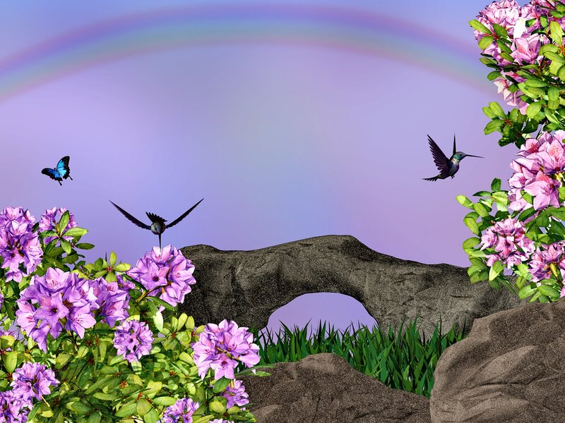 Hummingbirds and Flowers — Purple, Serene, Spring
