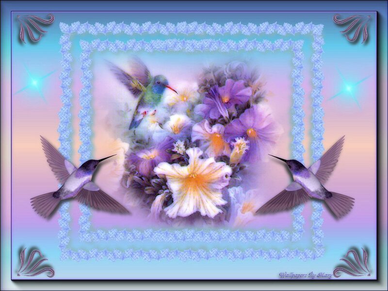 Hummingbirds and Flowers — Purple, Serene