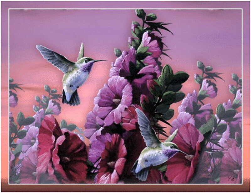 Hummingbirds and Flowers