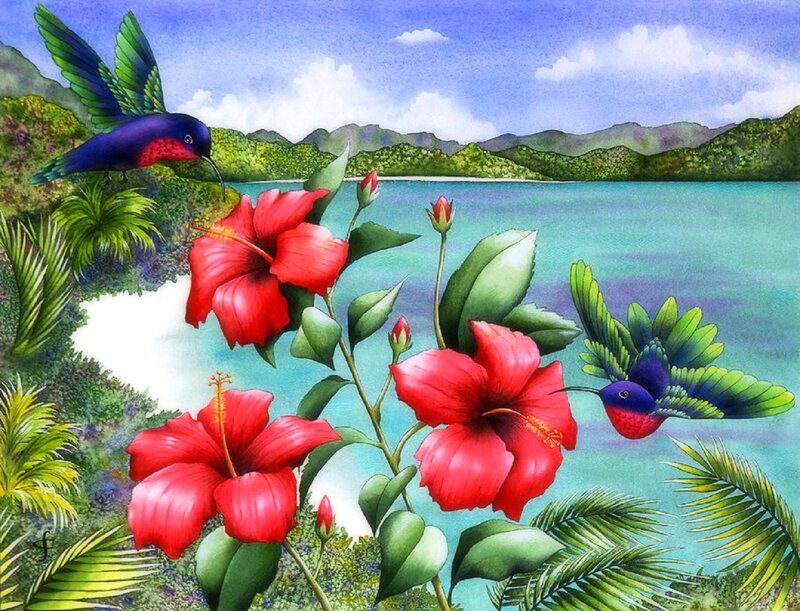 Hummingbirds and Hibiscus