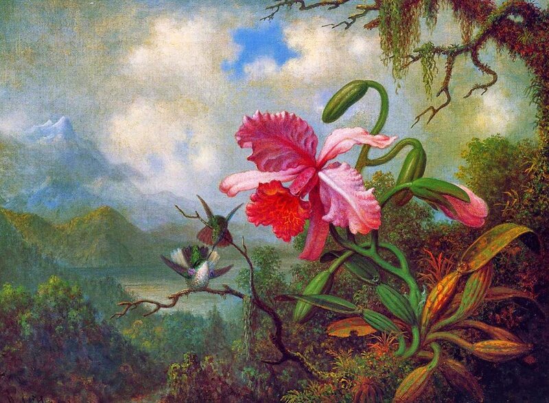 Hummingbirds and Orchid — Pink, Serene