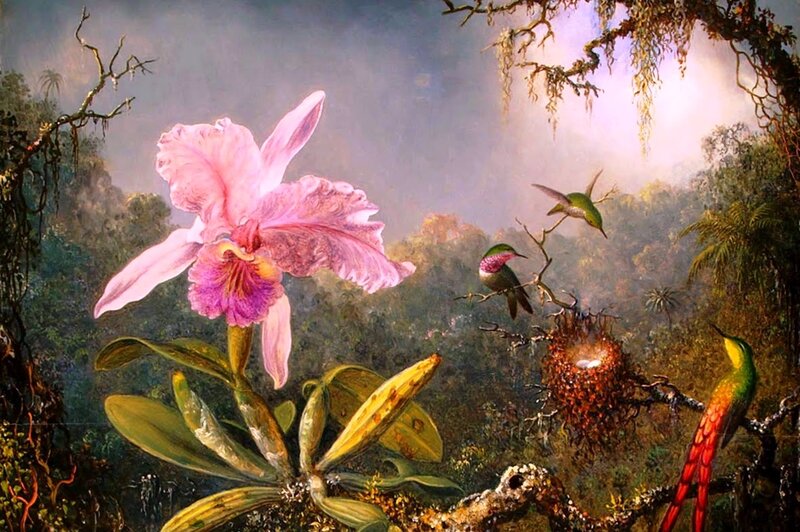 Hummingbirds and Orchid — Pink