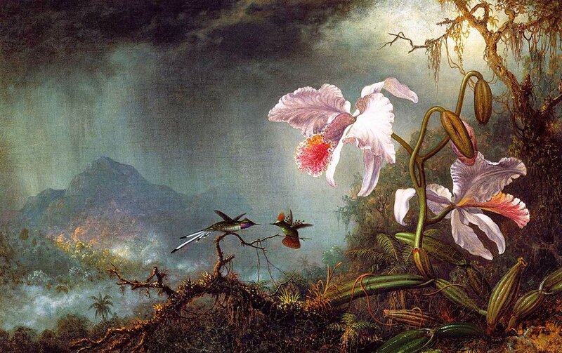 Hummingbirds and Orchids — Green