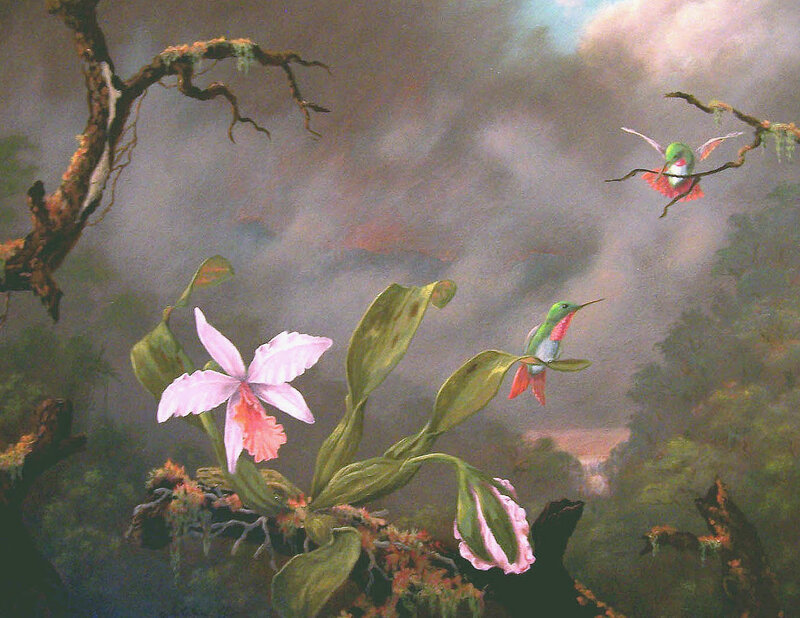 Hummingbirds and orchids in mist