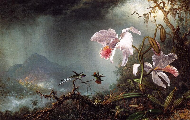 Hummingbirds and Orchids