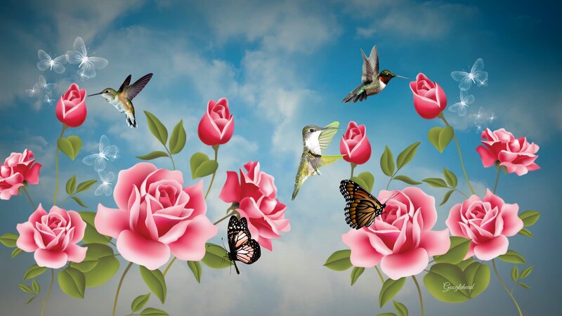 Hummingbirds and Roses