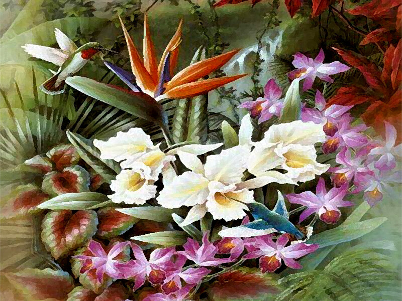 Hummingbirds and Tropical Flowers