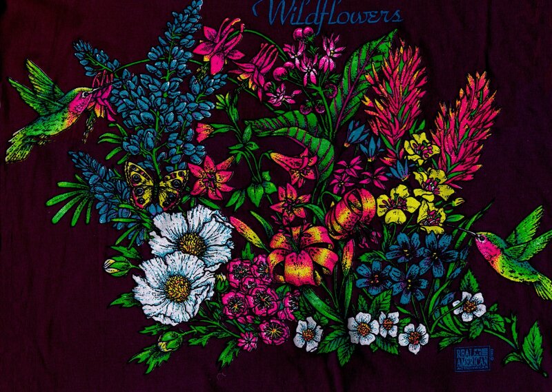 Hummingbirds and Wildflowers