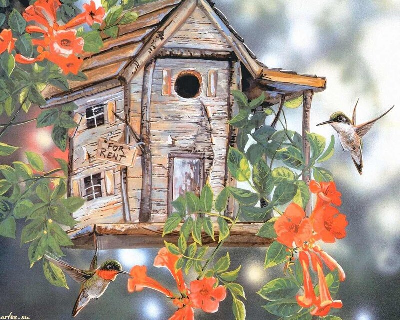 Hummingbirds at Birdhouse