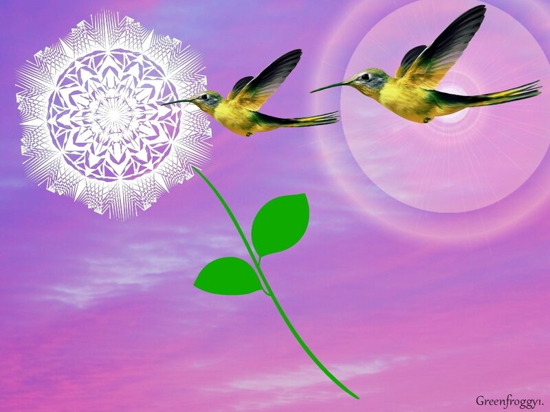Hummingbirds Flying