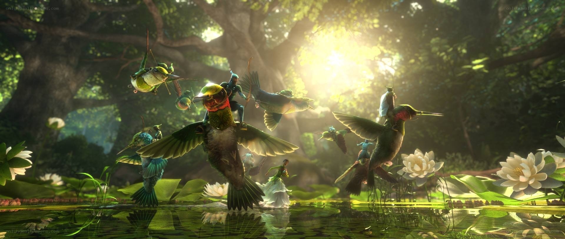 hummingbirds in a forest pond