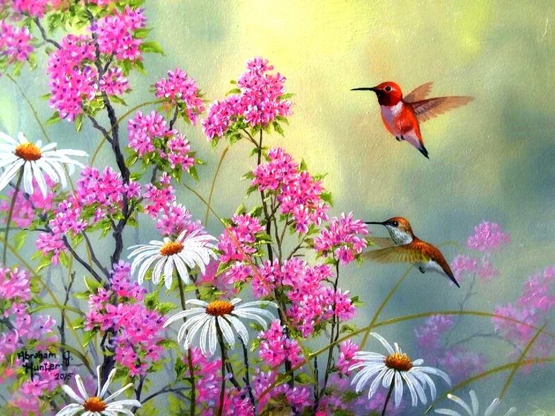 Hummingbirds in Flowers — Pink