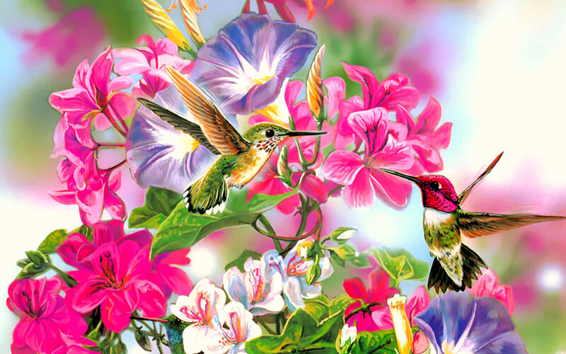 Hummingbirds in Flowers