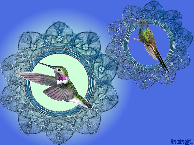 Hummingbirds in Frames