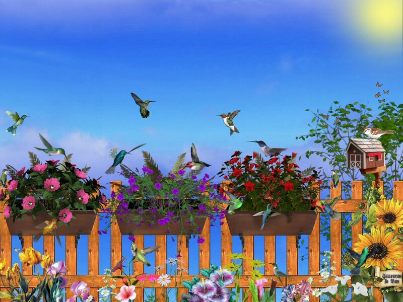 Hummingbirds in Garden — Blue