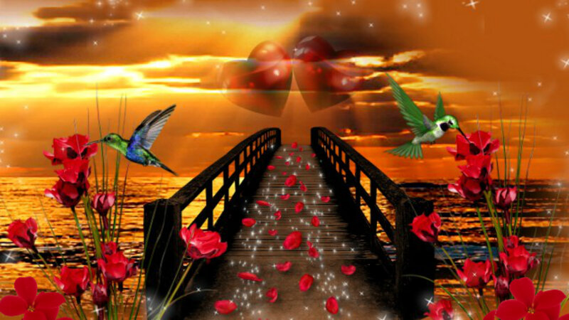 Hummingbirds on a Bridge