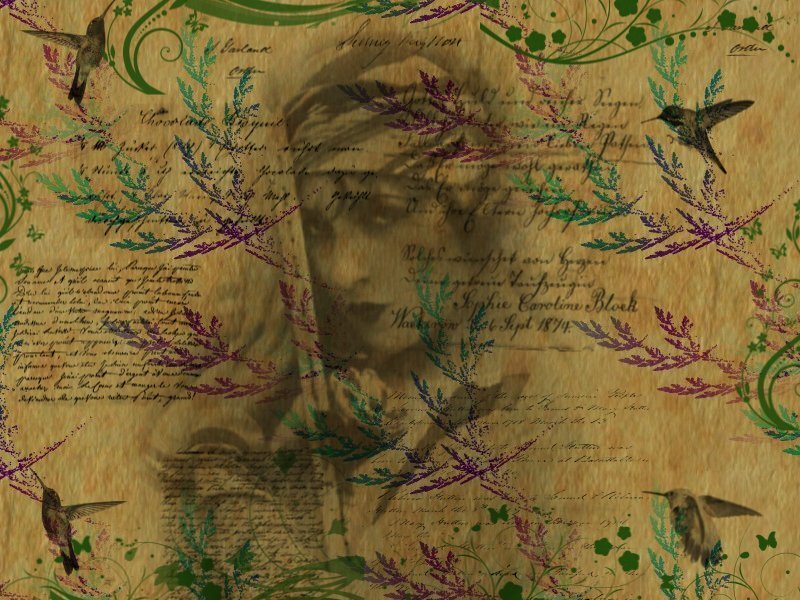 Hummingbirds on Parchment