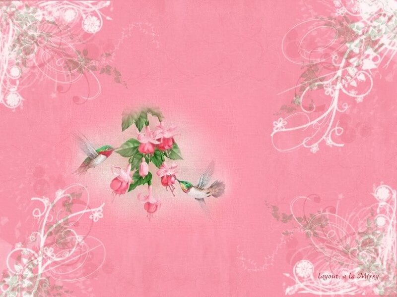 hummingbirds on pink background