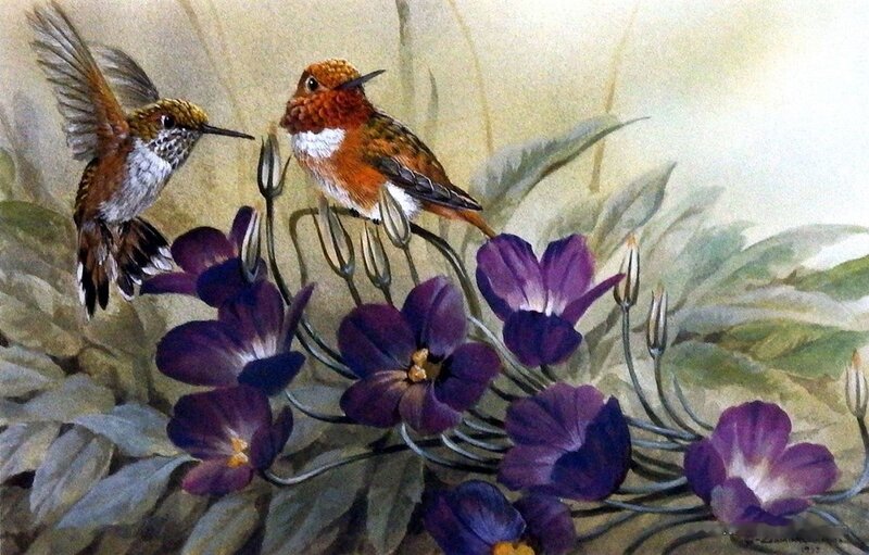Hummingbirds on Purple Flowers