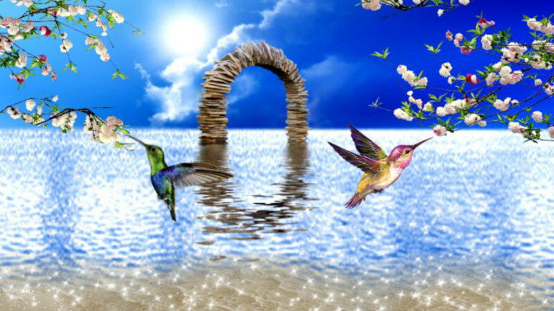 Hummingbirds over Water