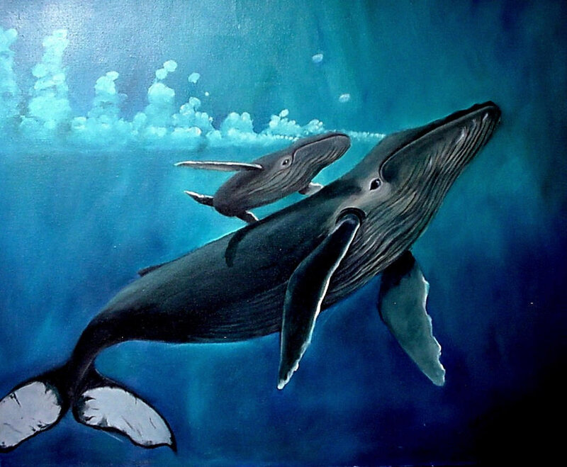 Humpback Whale and Calf