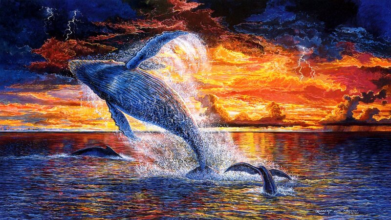 Humpback Whale Breaching — Blue, Dramatic, Sunset