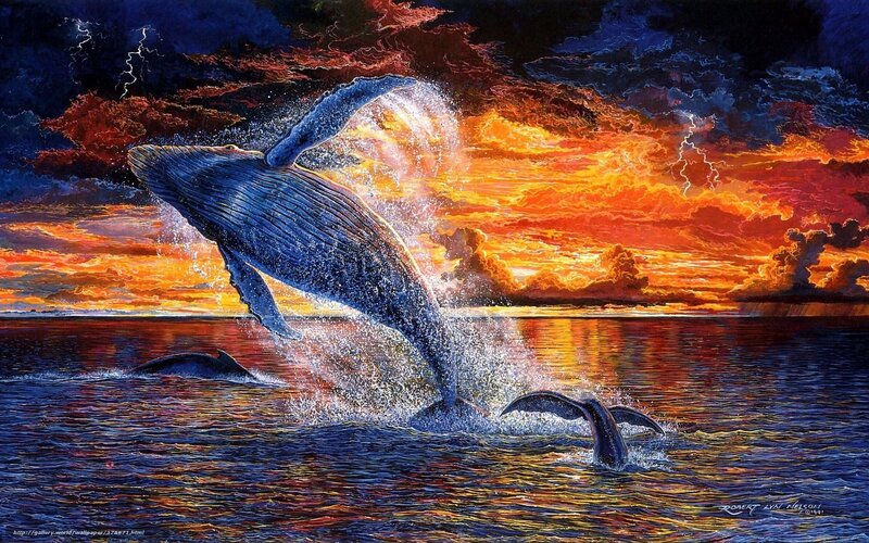 Humpback Whale Breaching — Orange, Dramatic