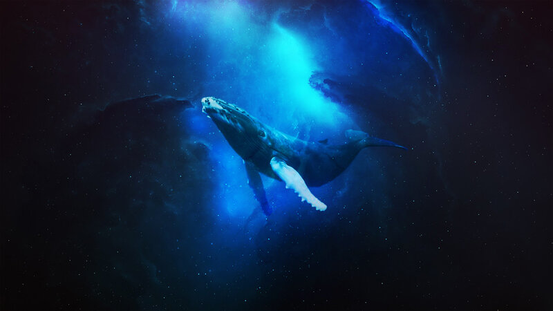 Humpback Whale in Space