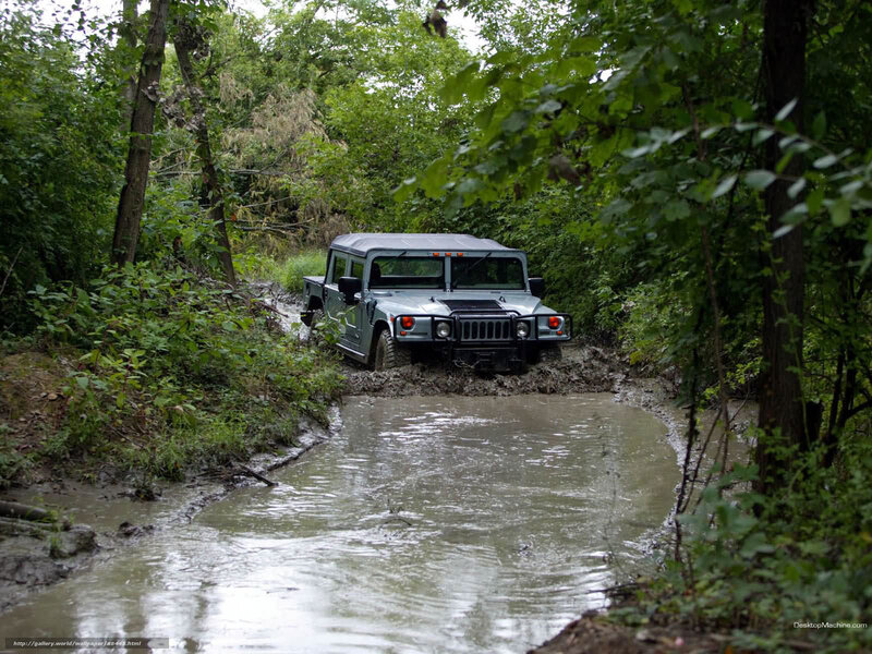 Humvee in muddy forest