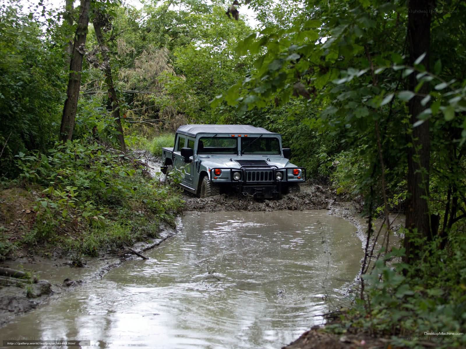 Humvee in muddy forest