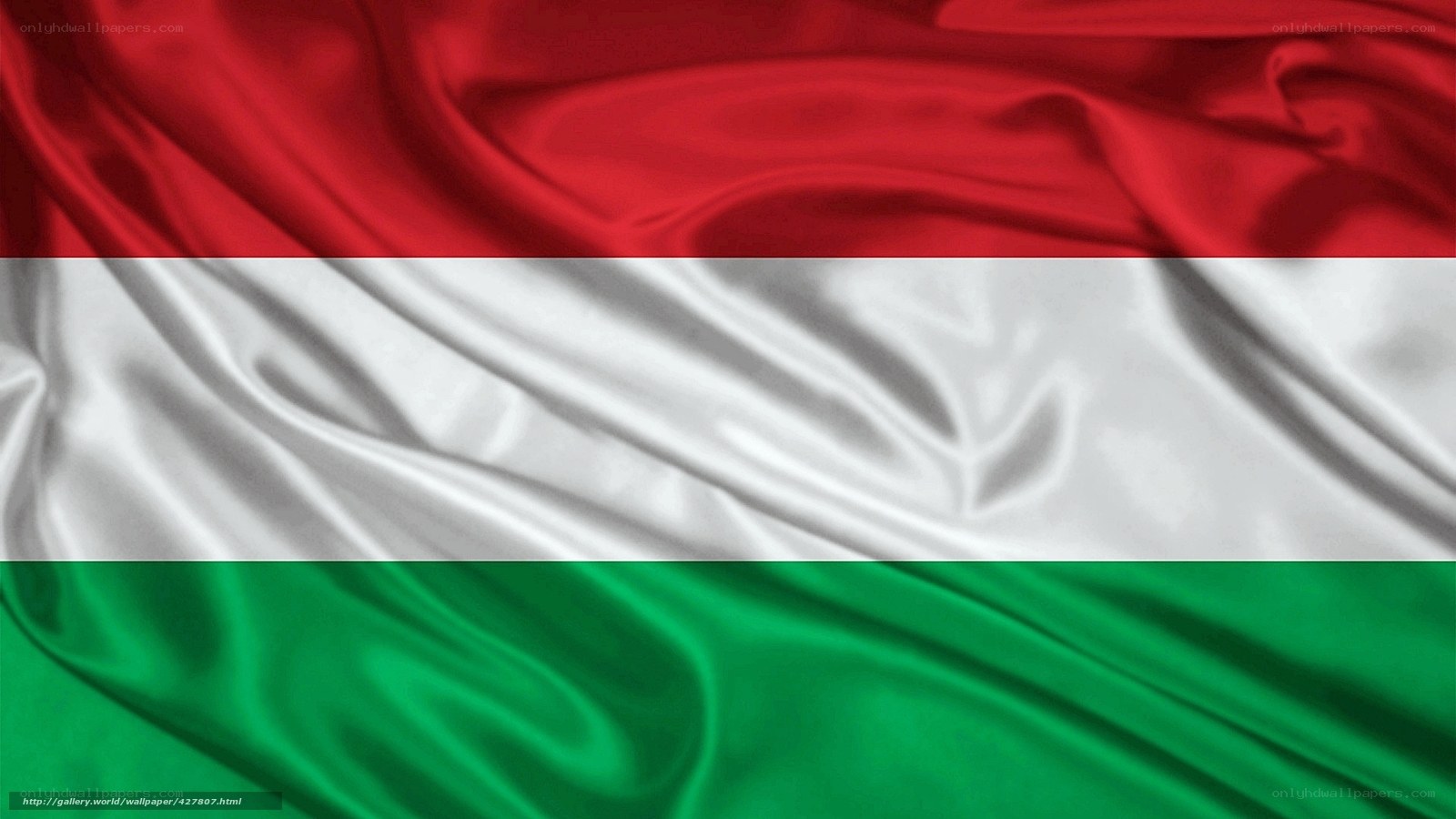 Hungarian flag fabric texture