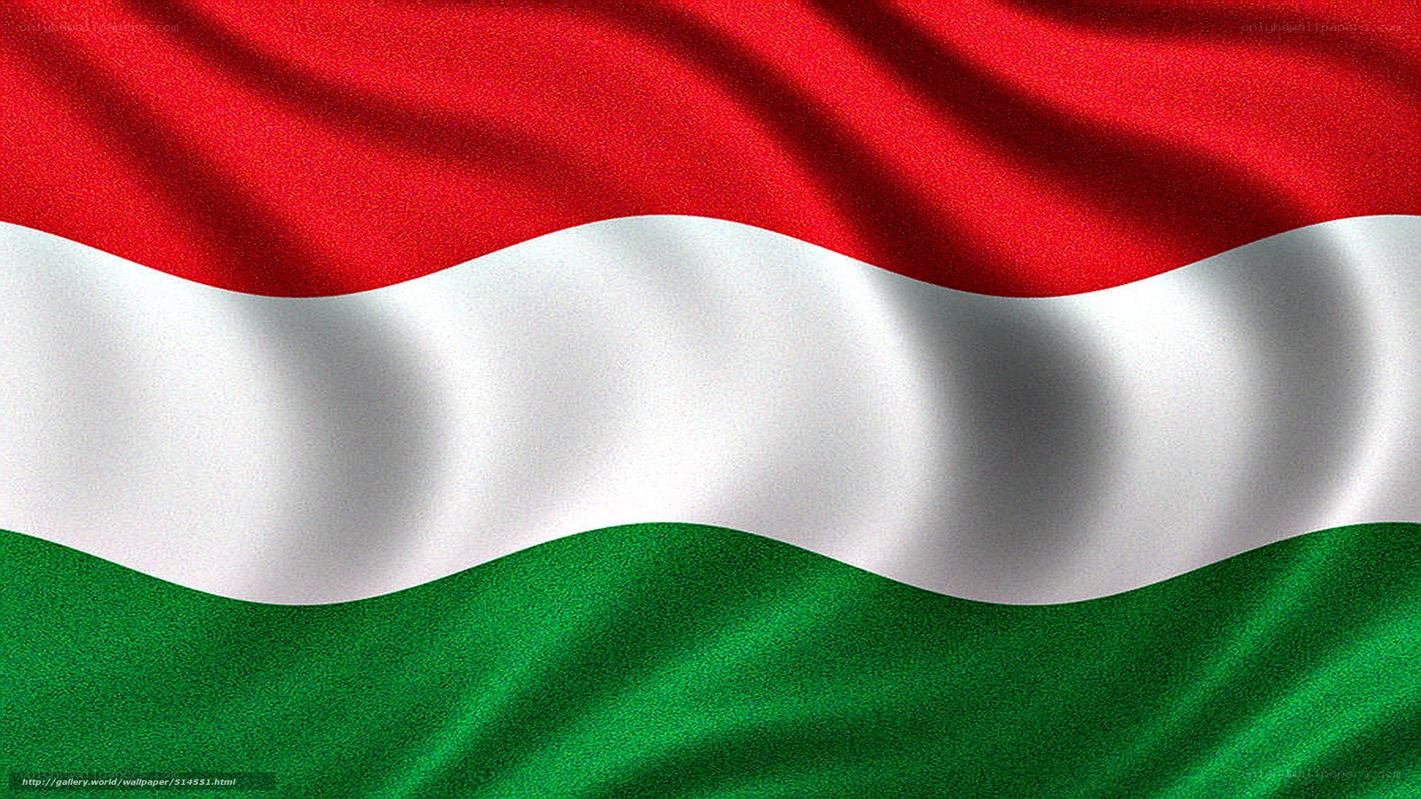 Hungarian flag waving