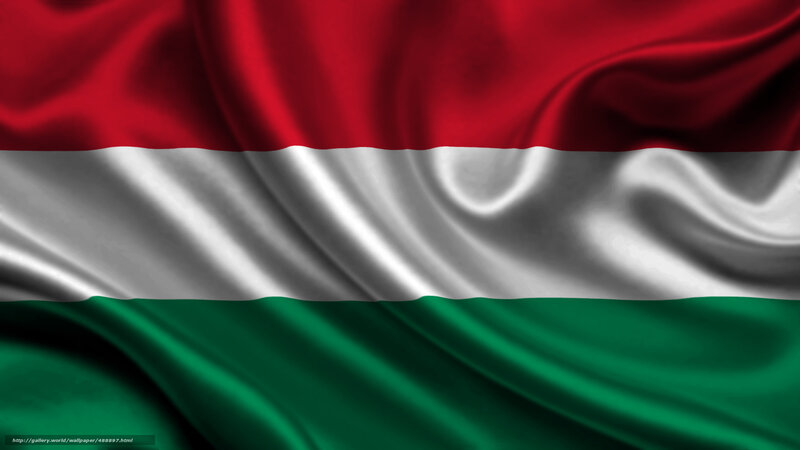 Hungarian flag waving
