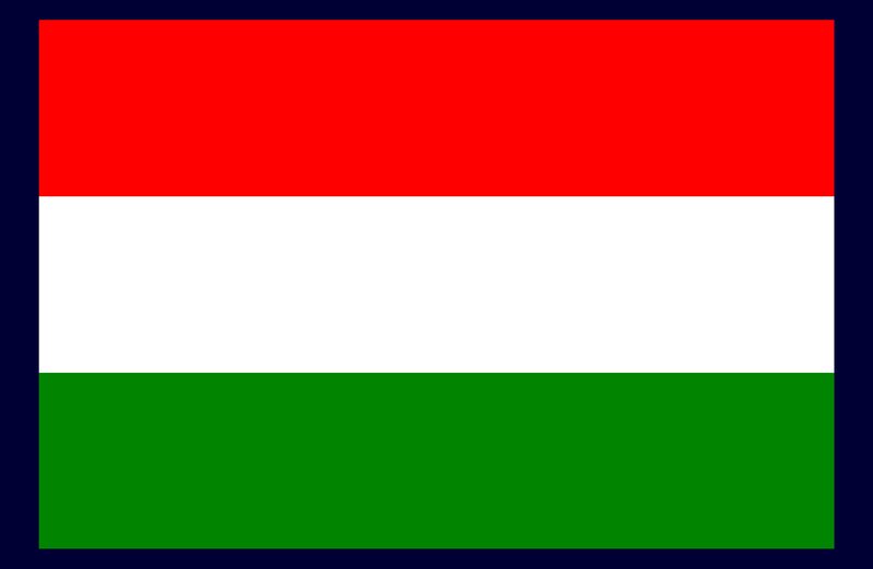 Hungarian flag with border