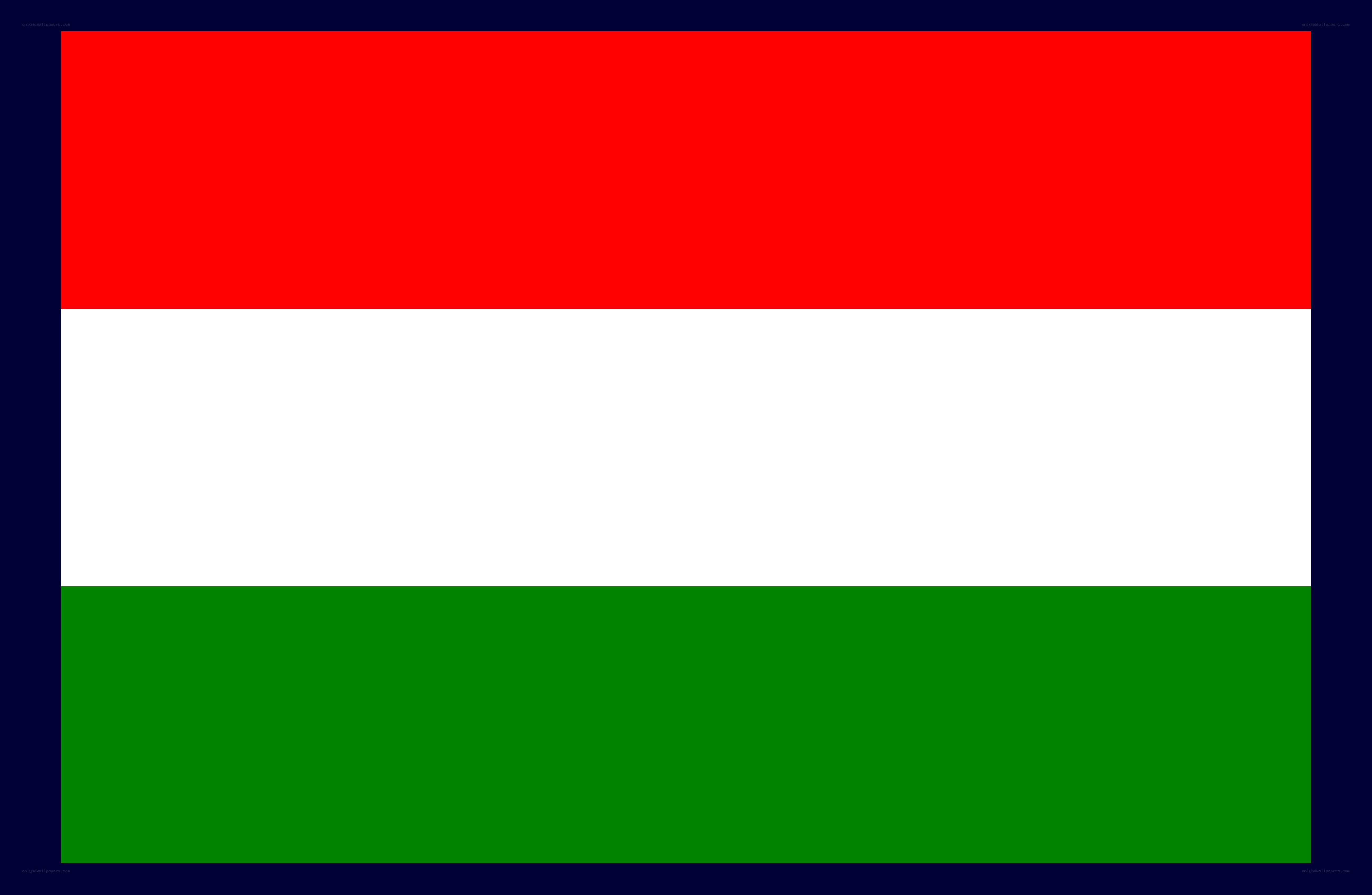 Hungarian flag with border