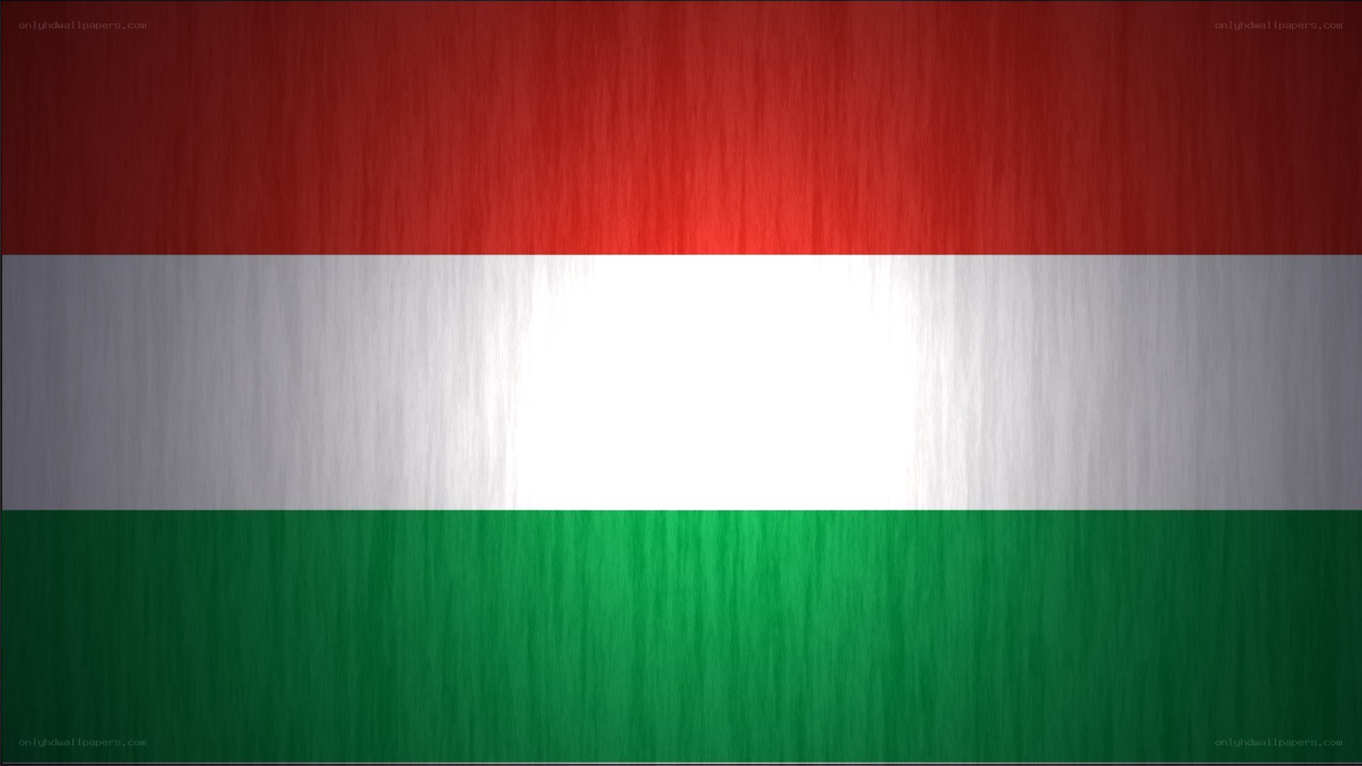 Hungarian flag with brushed metal texture