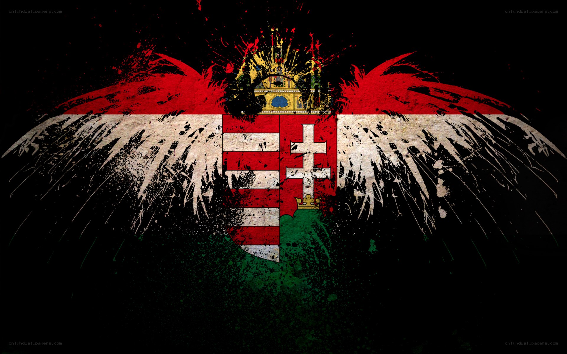 Hungarian flag with grunge wings